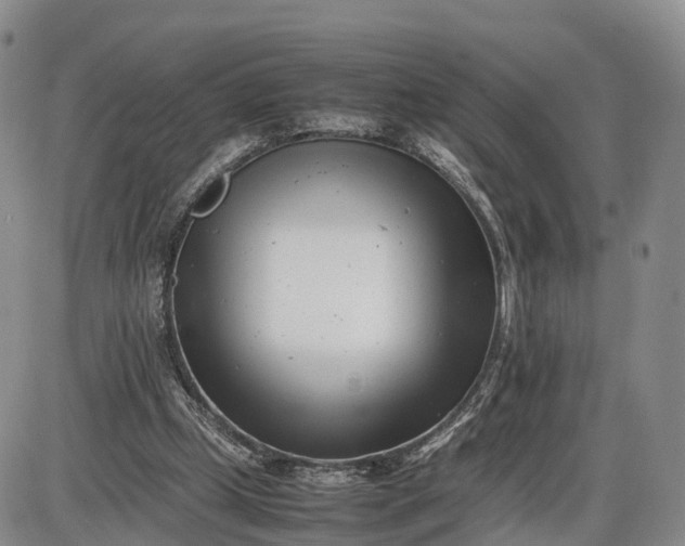 X0000085210249200703231514