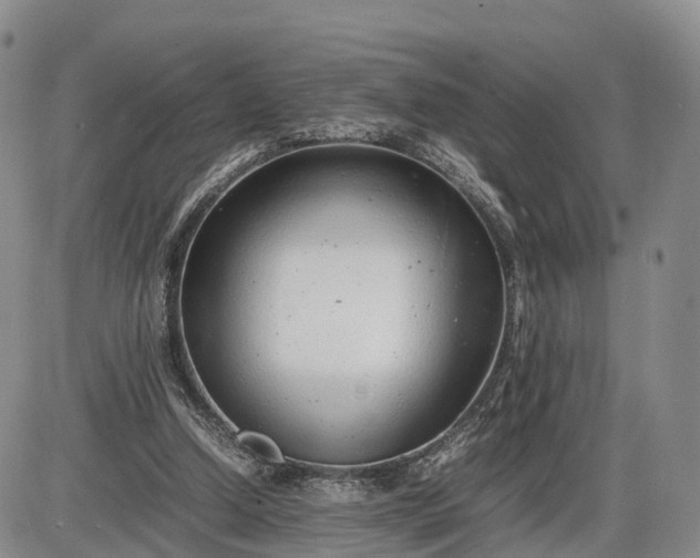 X0000085210250200703231514