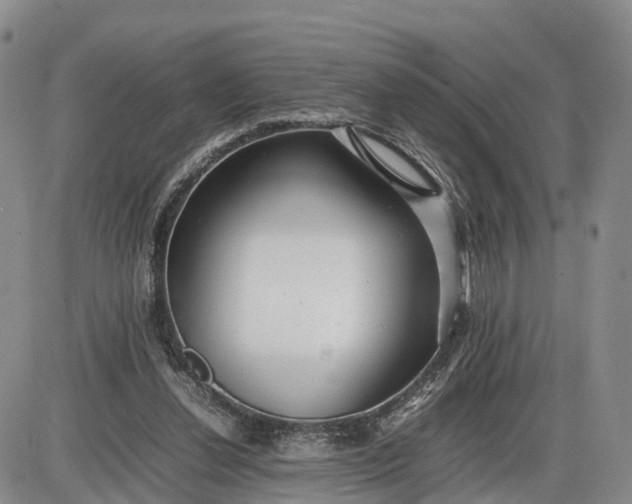 X0000085210252200703231514