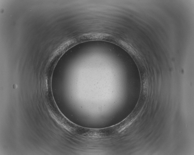 X0000085210254200703231514