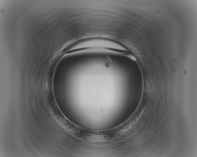 X0000085210256200703231514