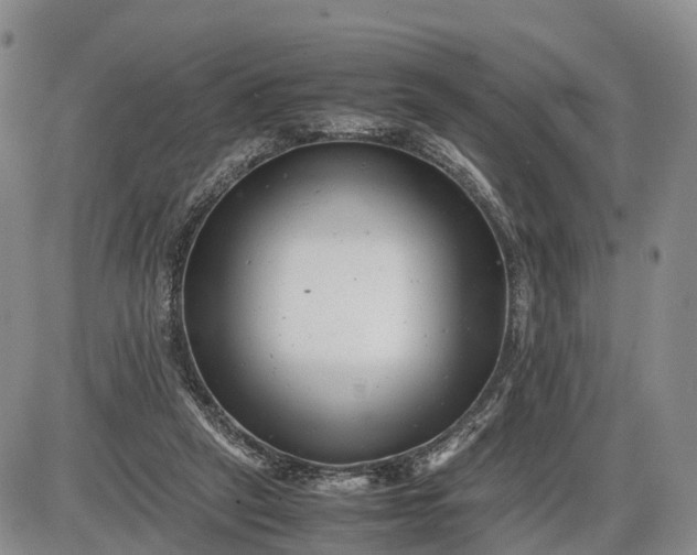 X0000085210257200703231514