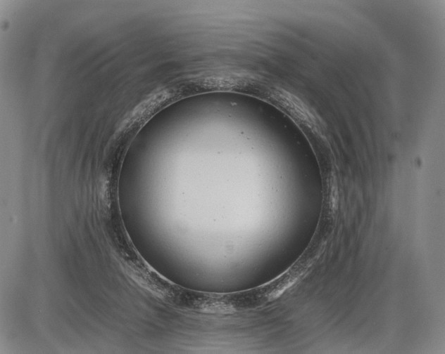 X0000085210258200703231514