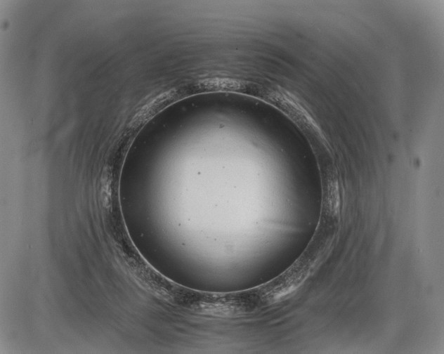 X0000085210259200703231514