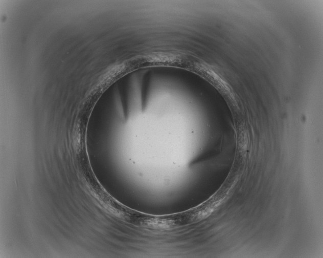 X0000085210261200703231514