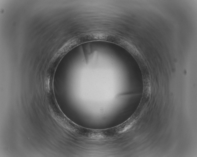 X0000085210262200703231514