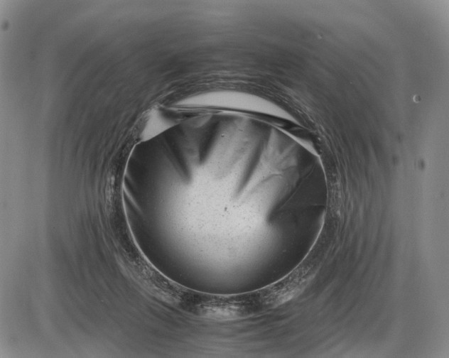 X0000085210263200703231514