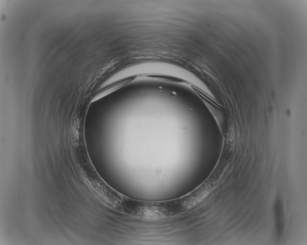 X0000085210264200703231514