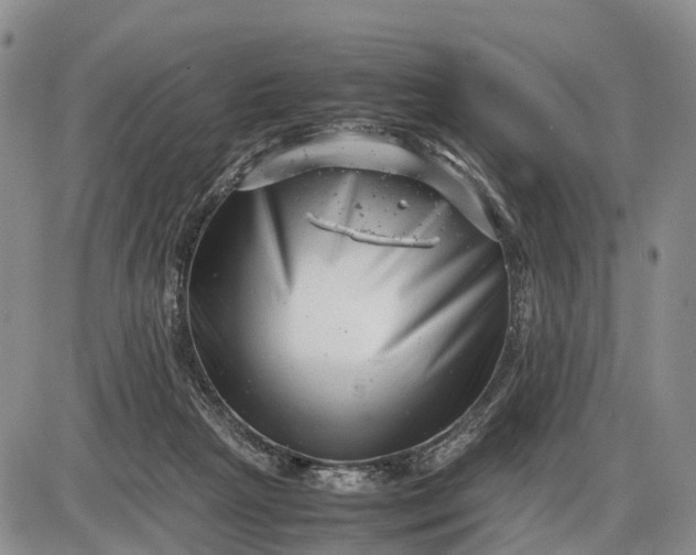 X0000085210265200703231514