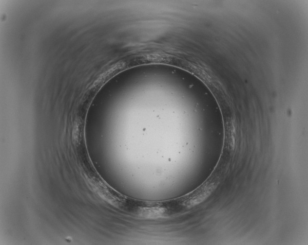 X0000085210266200703231514