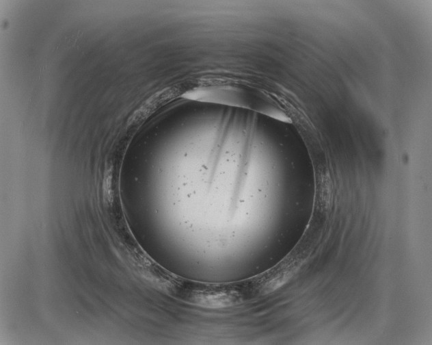 X0000085210267200703231514