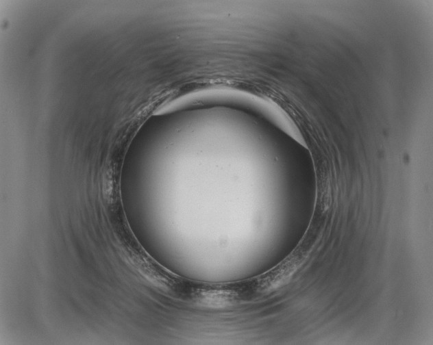 X0000085210268200703231514