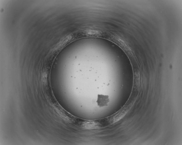 X0000085210269200703231514