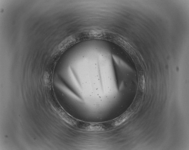 X0000085210270200703231514