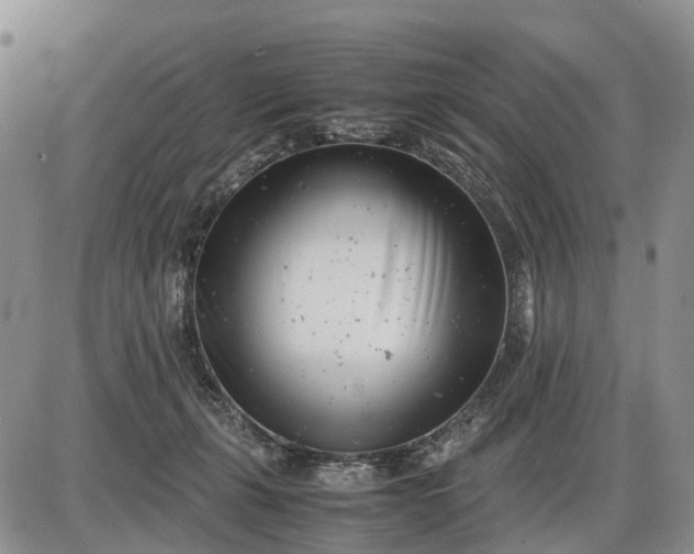 X0000085210271200703231514