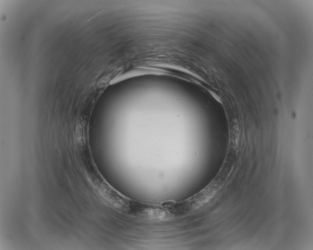 X0000085210272200703231514