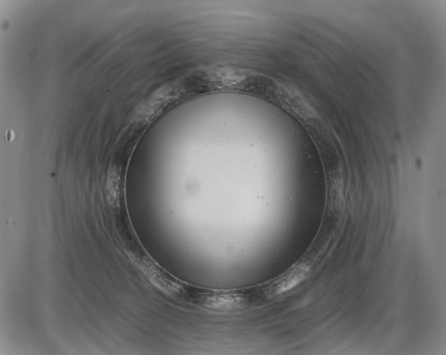 X0000085210274200703231514