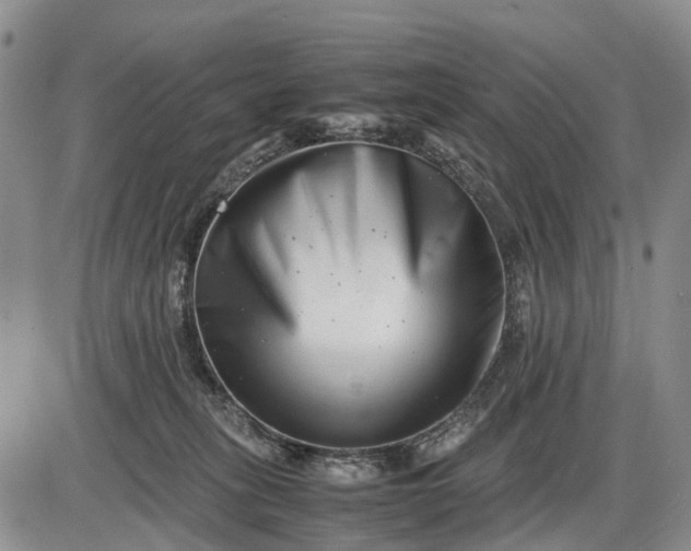 X0000085210275200703231514