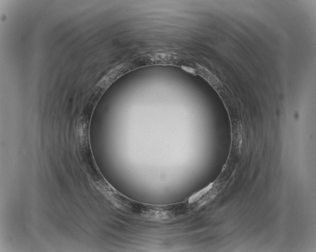 X0000085210276200703231514