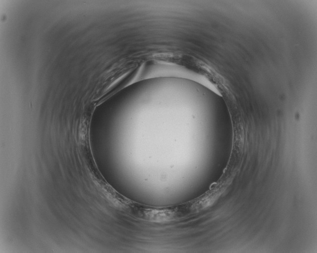 X0000085210277200703231514