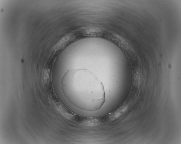 X0000085210278200703231515