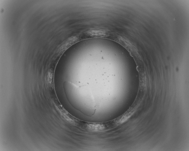 X0000085210281200703231515