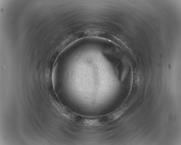 X0000085210283200703231515