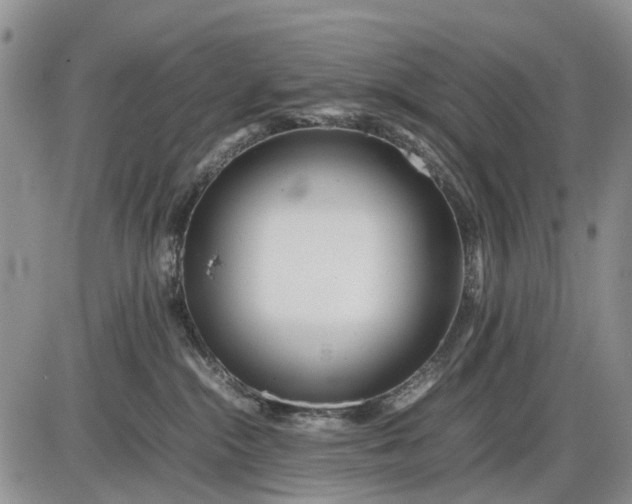 X0000085210284200703231515