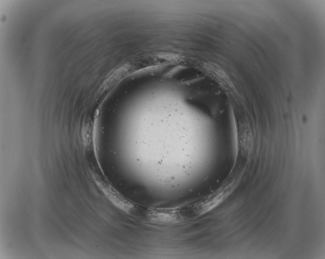 X0000085210285200703231515