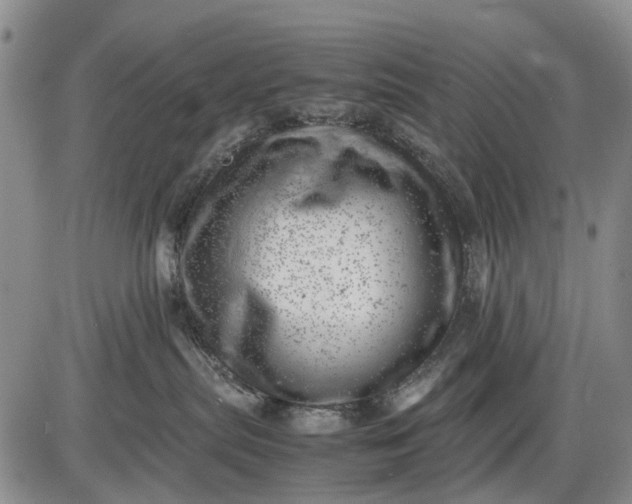 X0000085210287200703231515