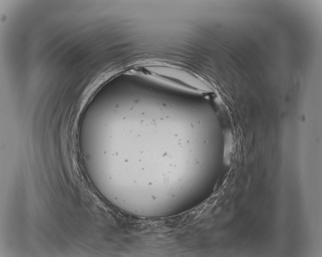 X0000085210289200703231514