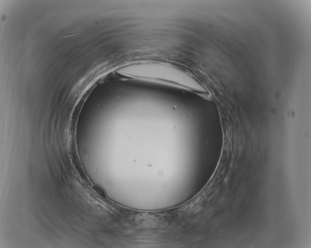 X0000085210290200703231514