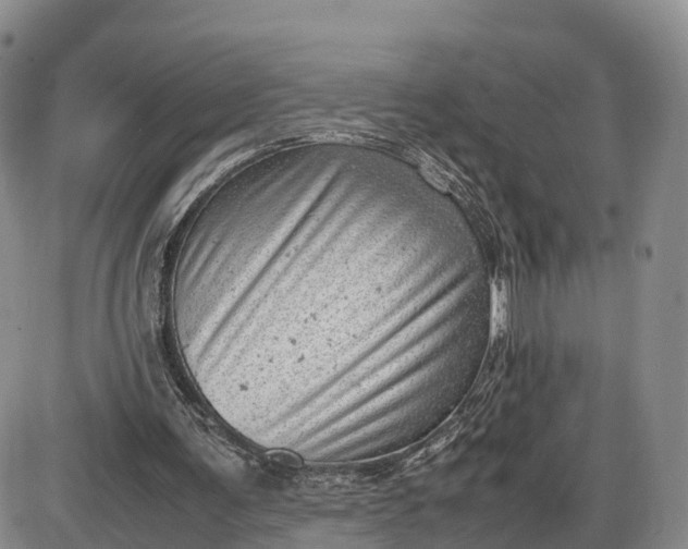 X0000085210291200703231514