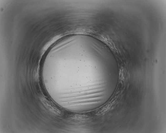 X0000085210292200703231514