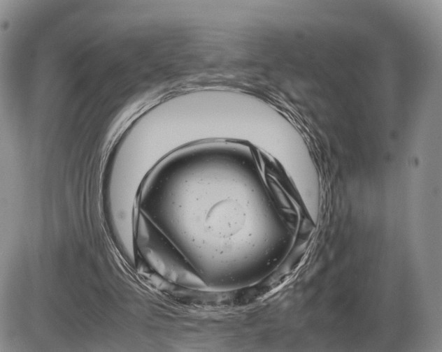 X0000085210293200703231514