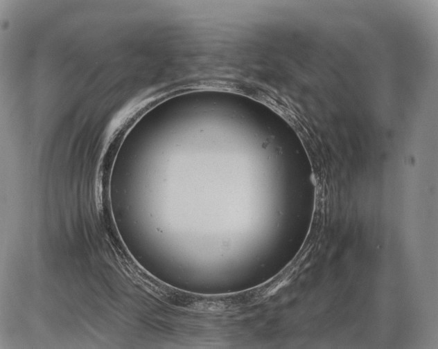 X0000085210294200703231514