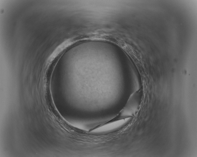 X0000085210295200703231514