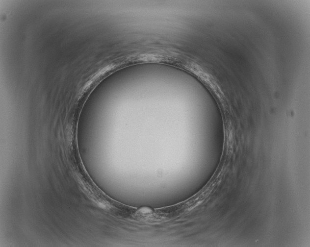 X0000085210297200703231514