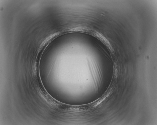 X0000085210298200703231514