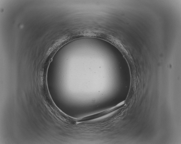 X0000085210299200703231514