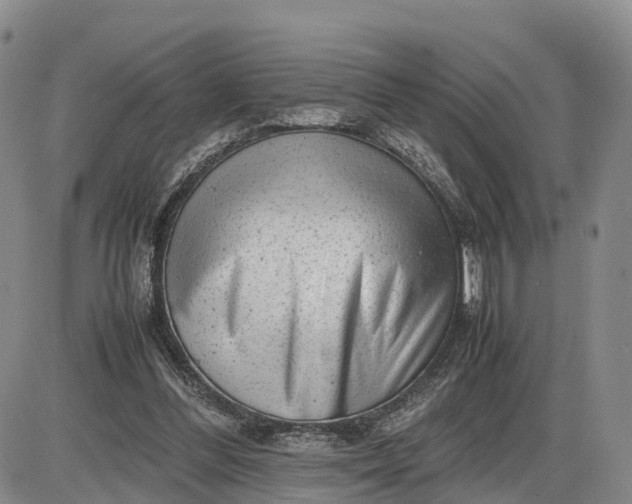 X0000085210300200703231514