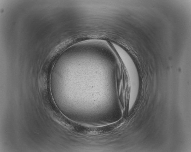 X0000085210303200703231514