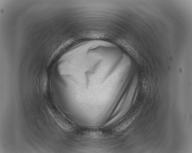 X0000085210304200703231514