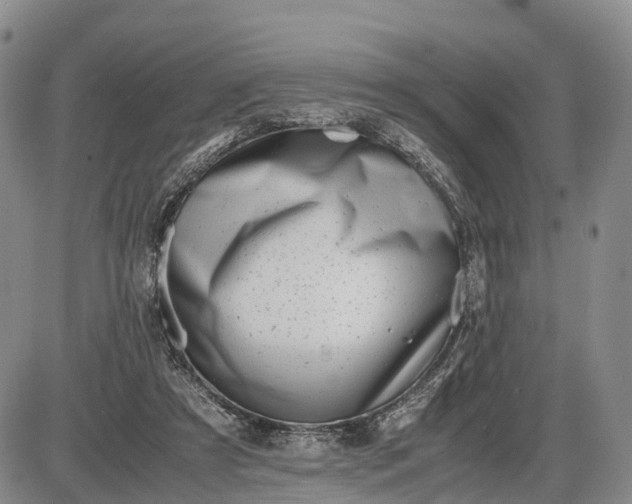 X0000085210305200703231514