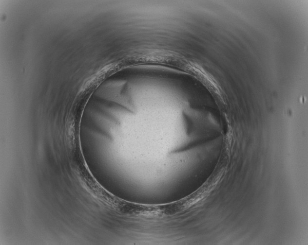 X0000085210306200703231514