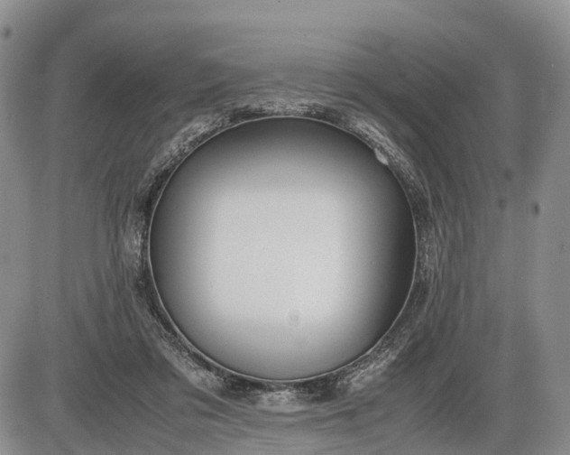 X0000085210309200703231514