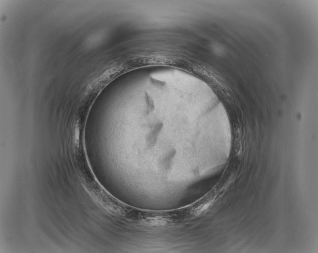 X0000085210310200703231514