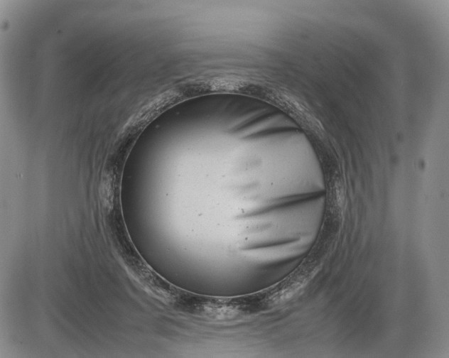 X0000085210311200703231514