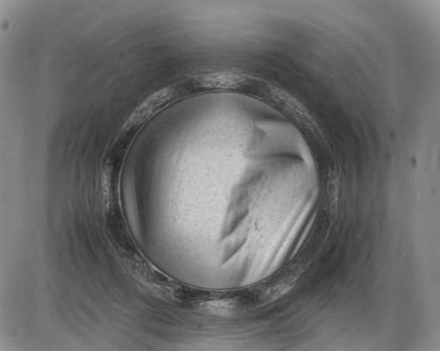 X0000085210312200703231513