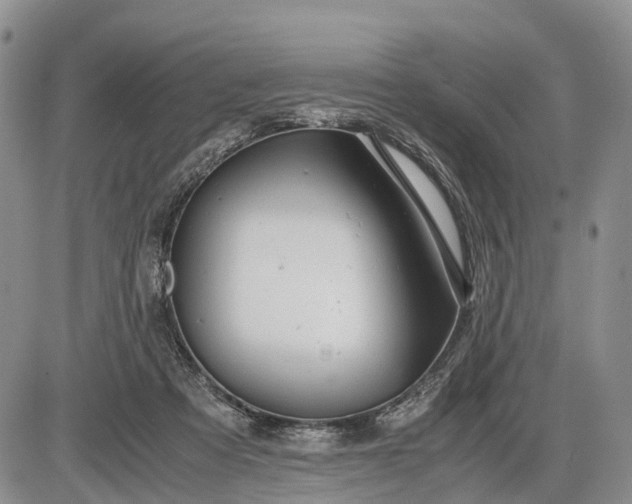 X0000085210313200703231513